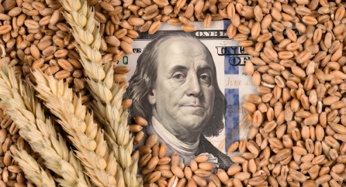 Mercati alimentari globali sotto stress: l�allarme FAO su guerre e clima